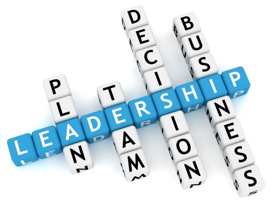 Sem-Pict-Leadership-dices