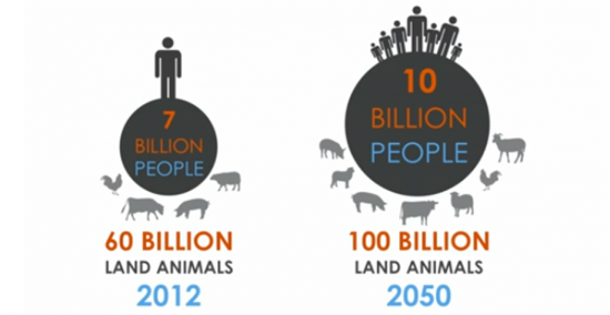 Global Population