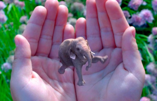 magic_leap620