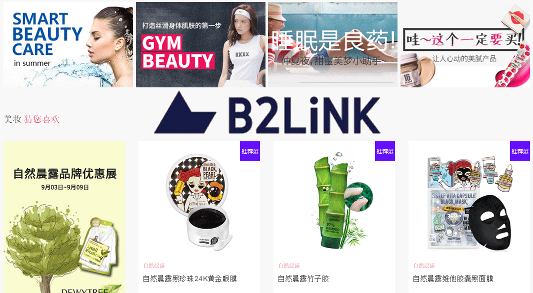 B2Link