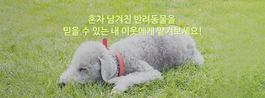 dogmate
