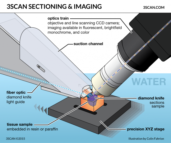 3SCAN-sectioning-and-imaging-v5